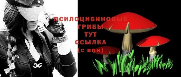 spice Волосово