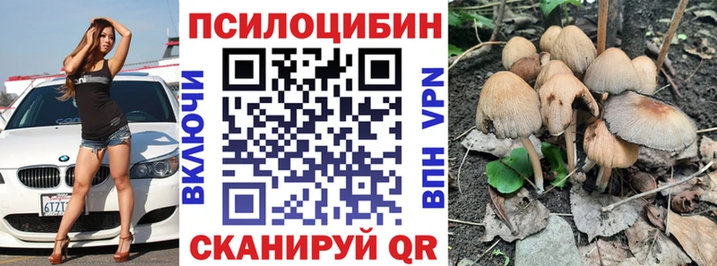 где можно купить наркотик  Вилючинск  Псилоцибиновые грибы мицелий 