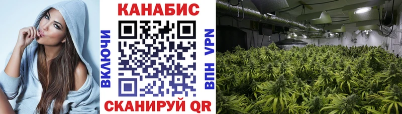 Каннабис конопля кракен Вилючинск